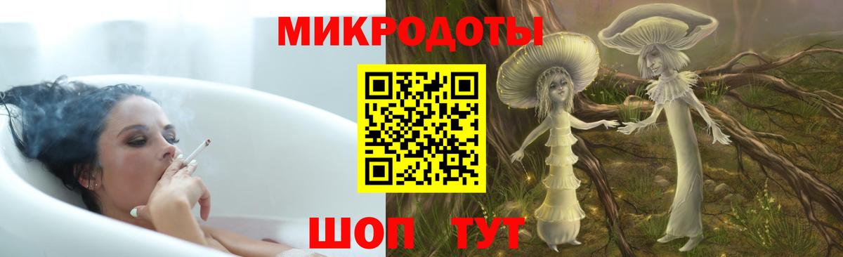 Галлюциногенные грибы Psilocybine cubensis Тосно